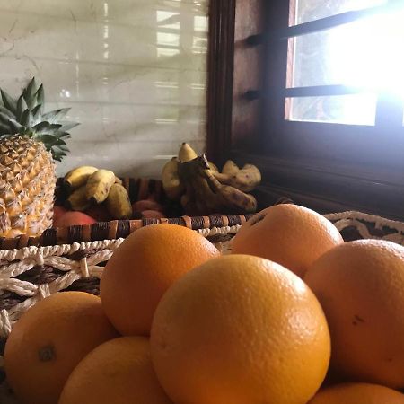 Villa Wodeyarmutt Tropical Luxury Living Sringeri المظهر الخارجي الصورة